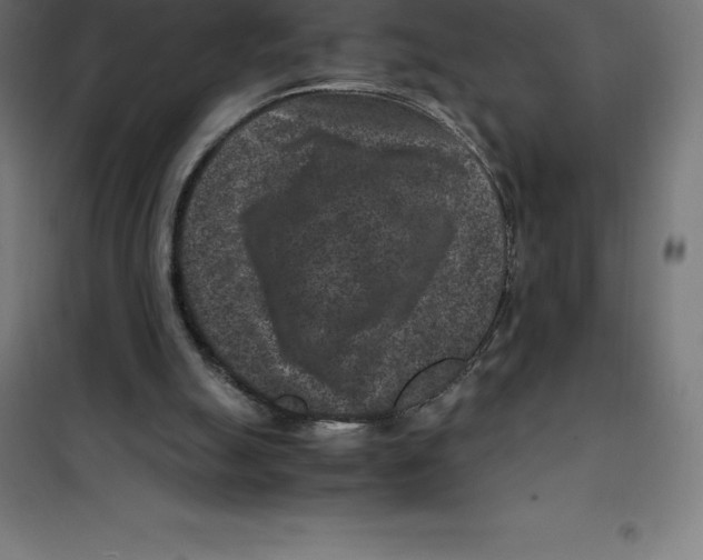 X0000100380055200807031935