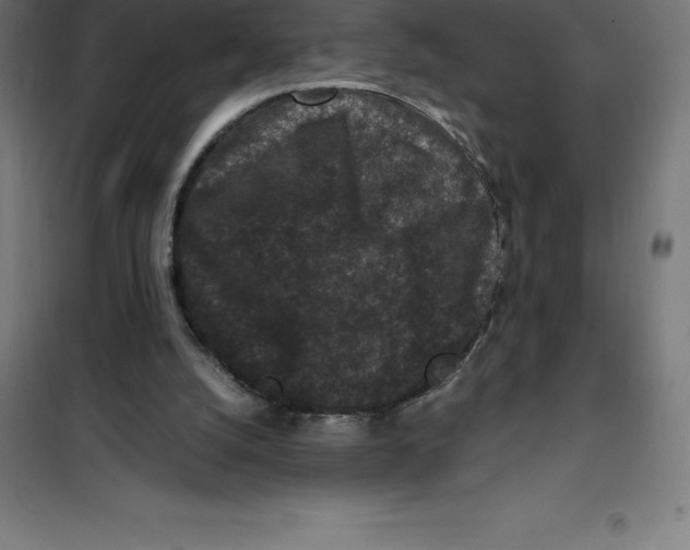 X0000100380056200807031935