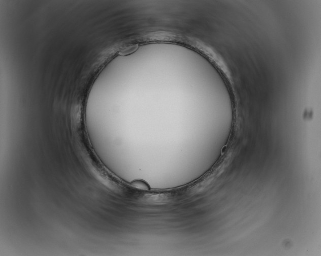 X0000100380057200807031935