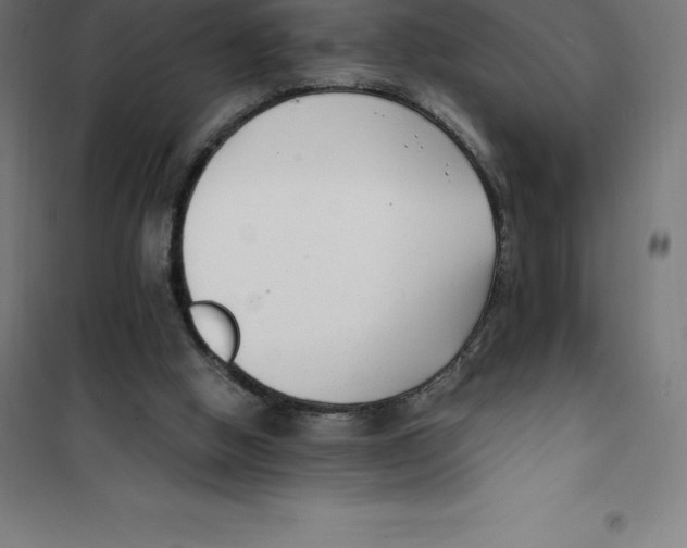 X0000100380058200807031935