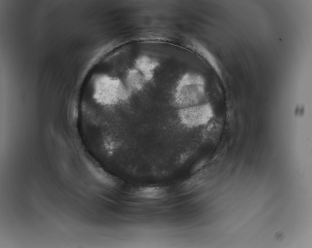 X0000100380059200807031935