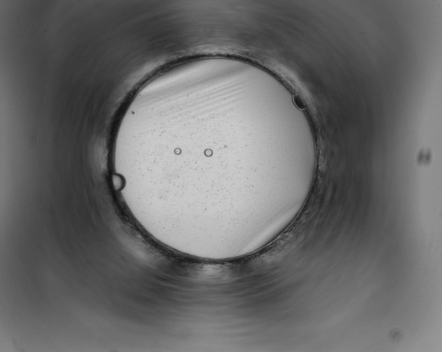 X0000100380060200807031935