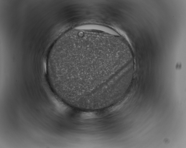 X0000100380061200807031935