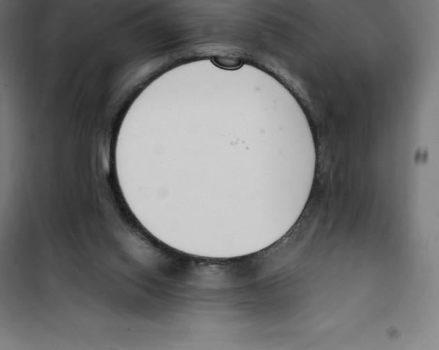 X0000100380062200807031935