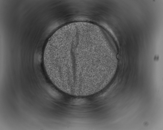 X0000100380063200807031935
