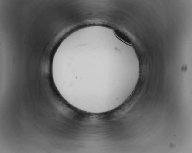 X0000100380064200807031935