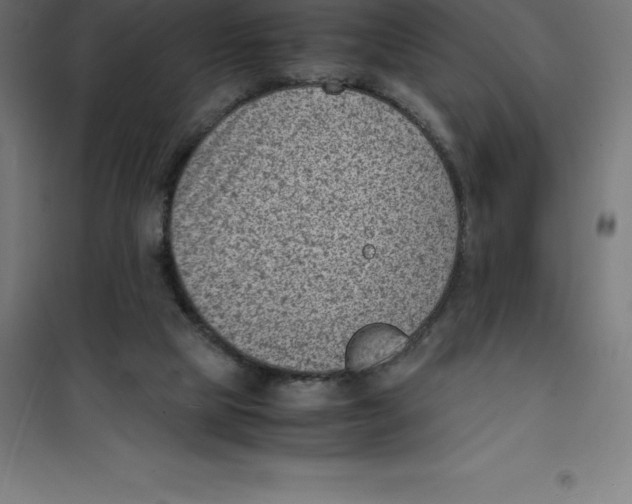 X0000100380065200807031935