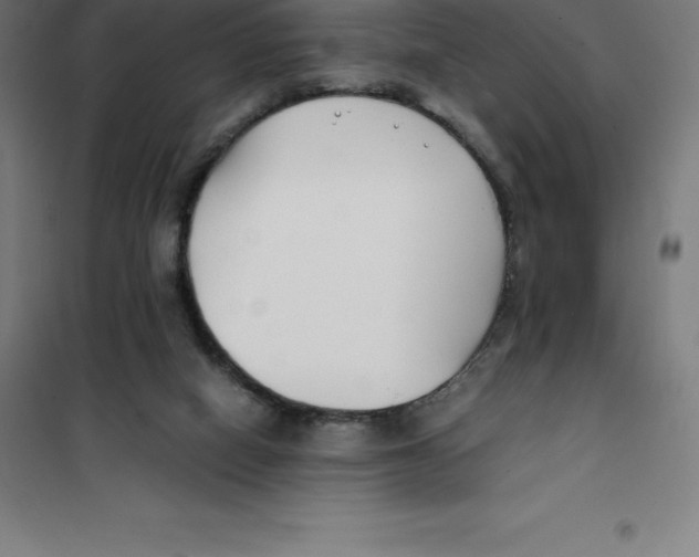 X0000100380066200807031935