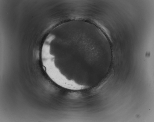 X0000100380067200807031935