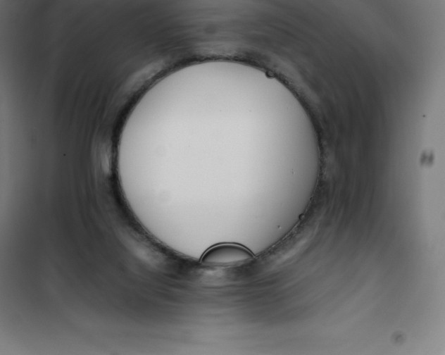 X0000100380068200807031935