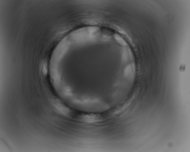 X0000100380069200807031935
