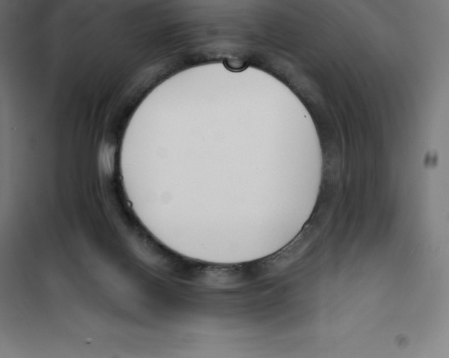 X0000100380070200807031935