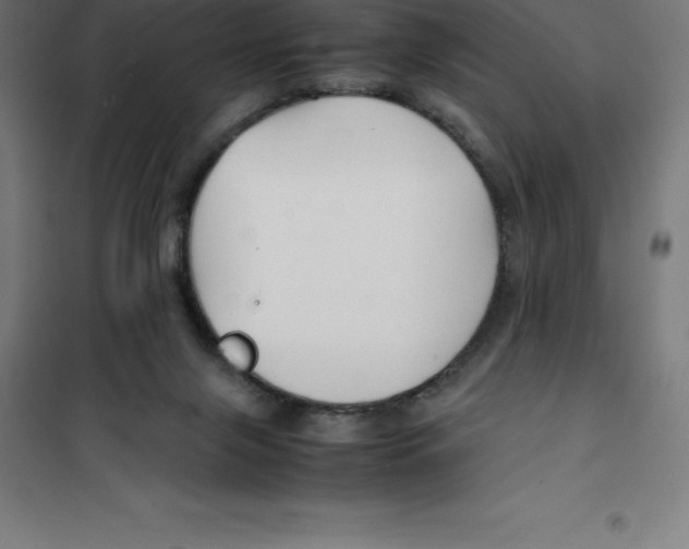 X0000100380071200807031935