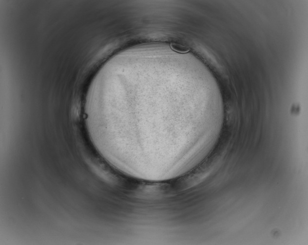 X0000100380072200807031935