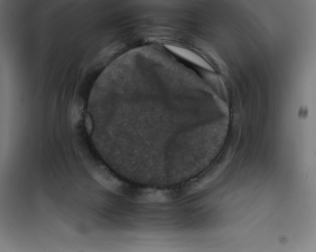 X0000100380073200807031935