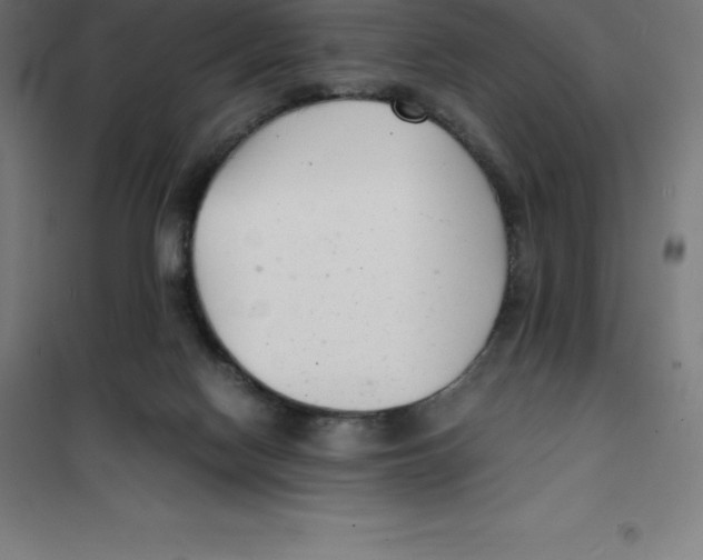 X0000100380074200807031935