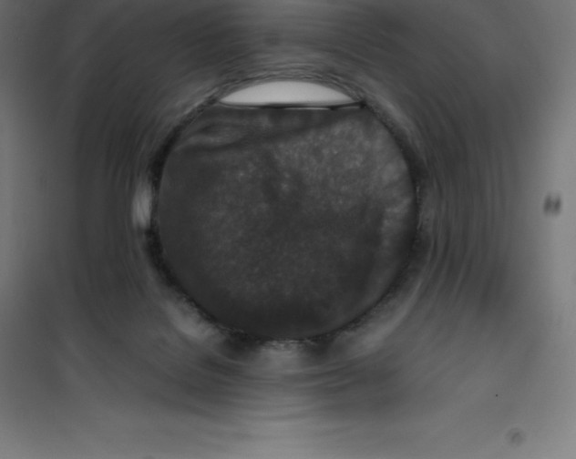 X0000100380076200807031935