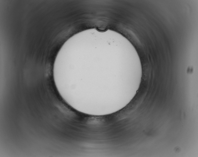 X0000100380077200807031935
