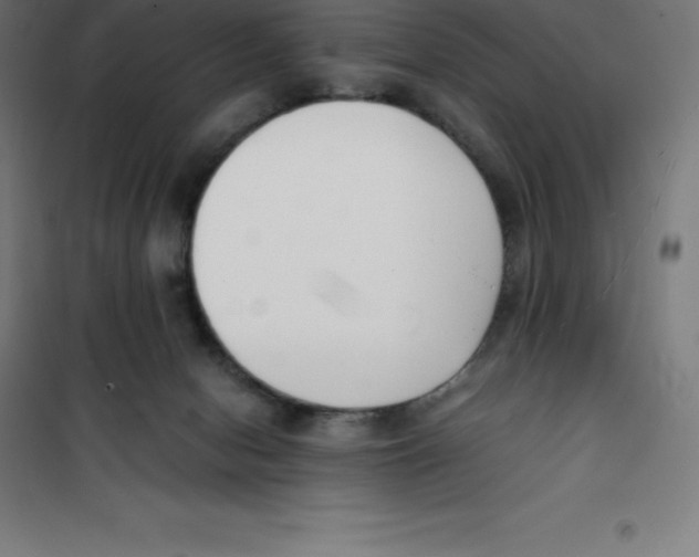 X0000100380078200807031935