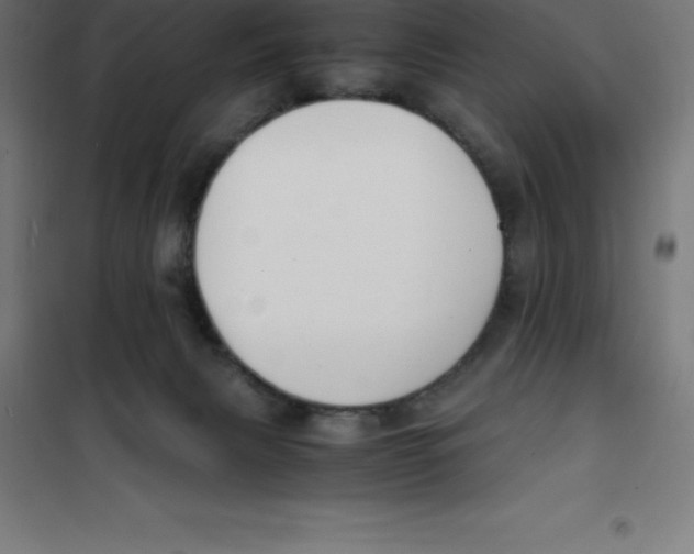 X0000100380079200807031935