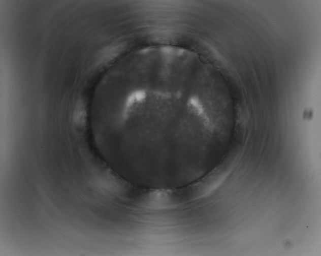 X0000100380080200807031935