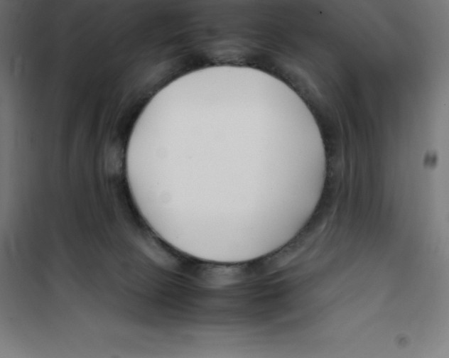 X0000100380081200807031935