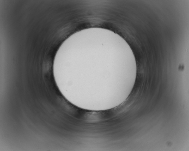 X0000100380082200807031935