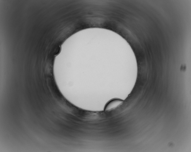 X0000100380083200807031935