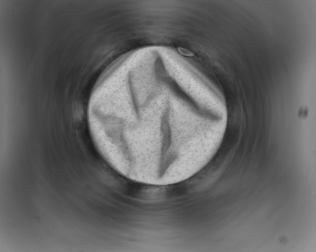 X0000100380084200807031935