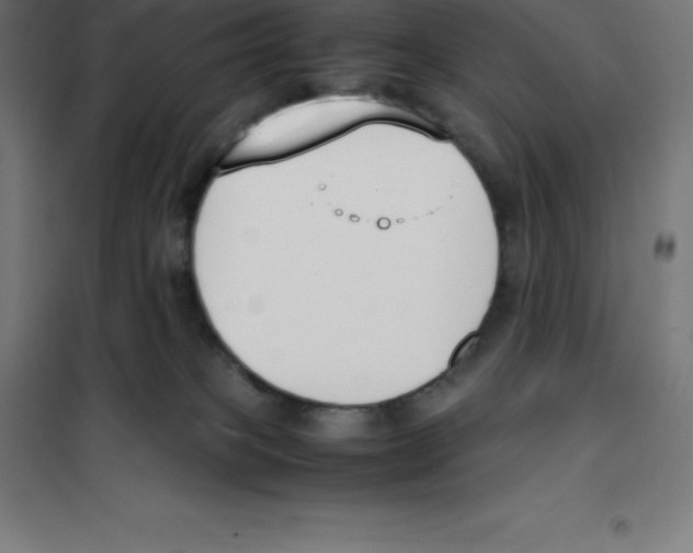 X0000100380085200807031935
