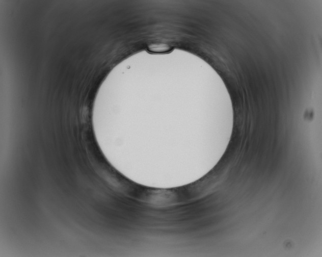 X0000100380087200807031935