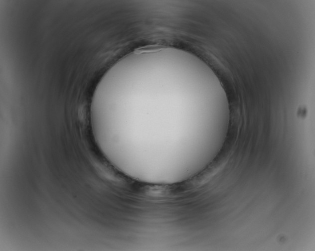 X0000100380088200807031935