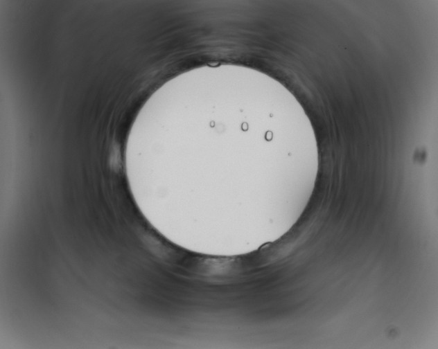 X0000100380089200807031935