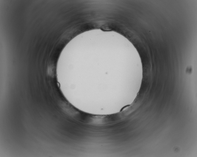 X0000100380090200807031935
