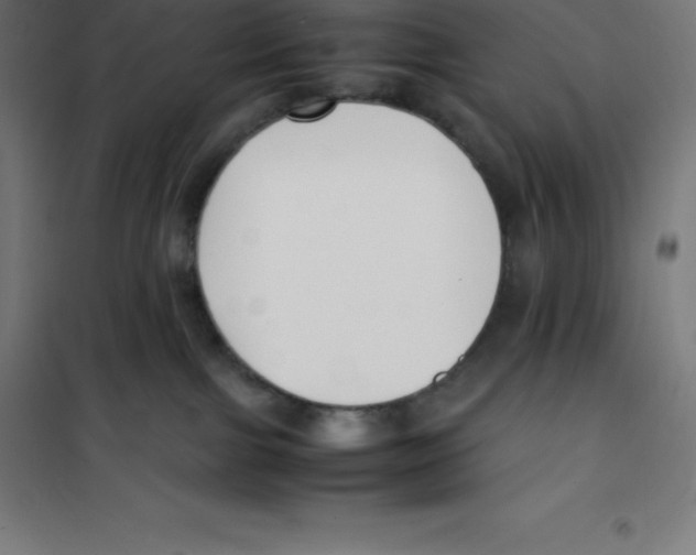 X0000100380091200807031935