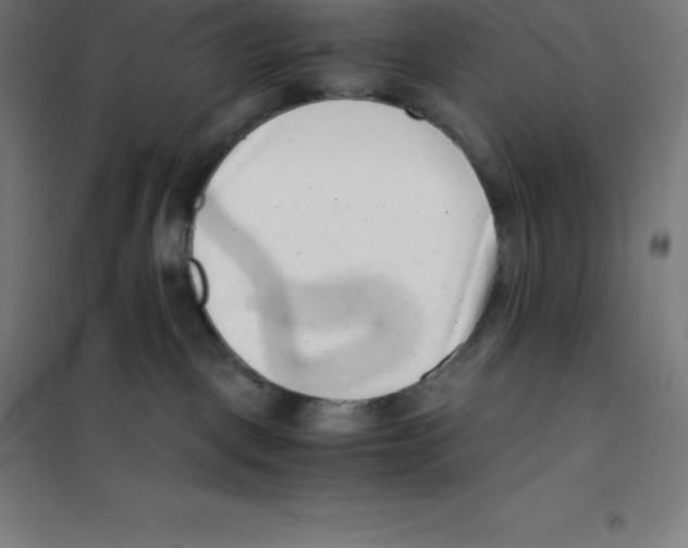 X0000100380093200807031935