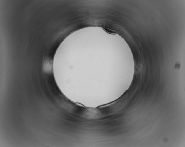 X0000100380095200807031935