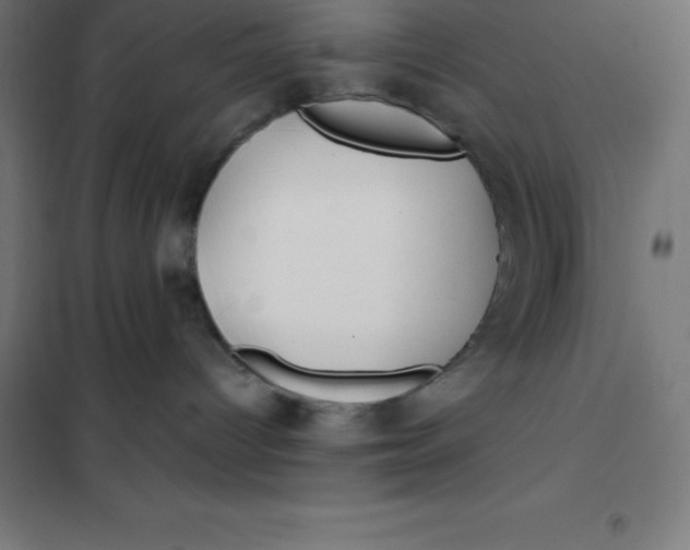 X0000100380096200807031935