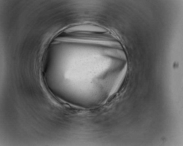 X0000100380097200807031935