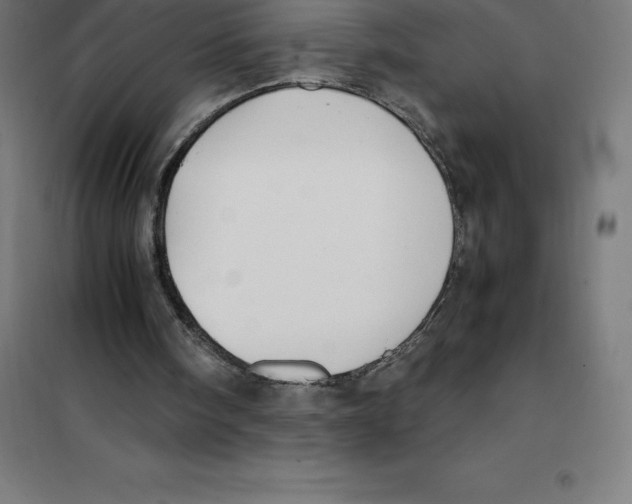 X0000100380098200807031935