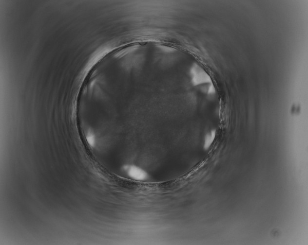 X0000100380099200807031935