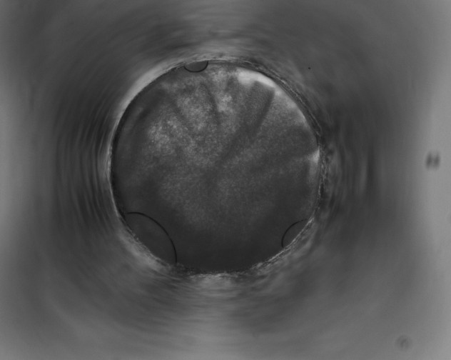 X0000100380100200807031935