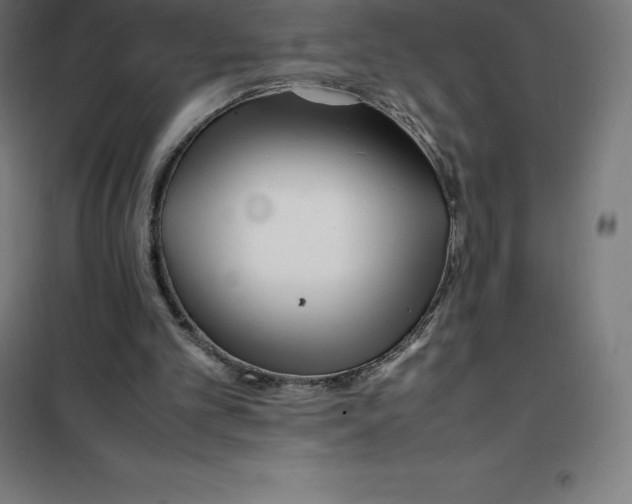 X0000100380101200807031935