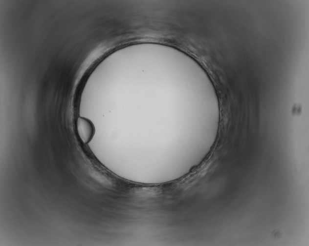 X0000100380102200807031935