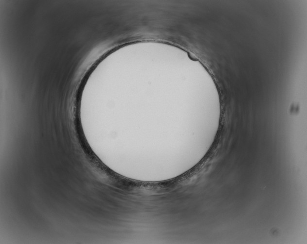 X0000100380103200807031935