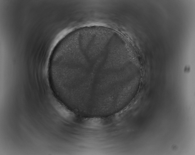 X0000100380104200807031935