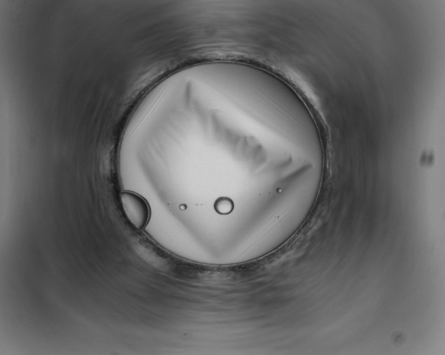 X0000100380105200807031935
