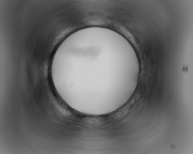 X0000100380106200807031935
