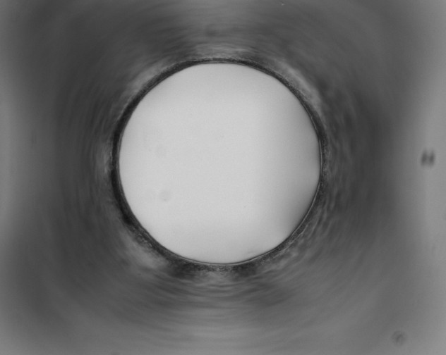 X0000100380107200807031935