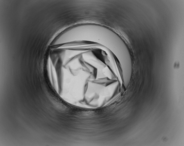 X0000100380108200807031934